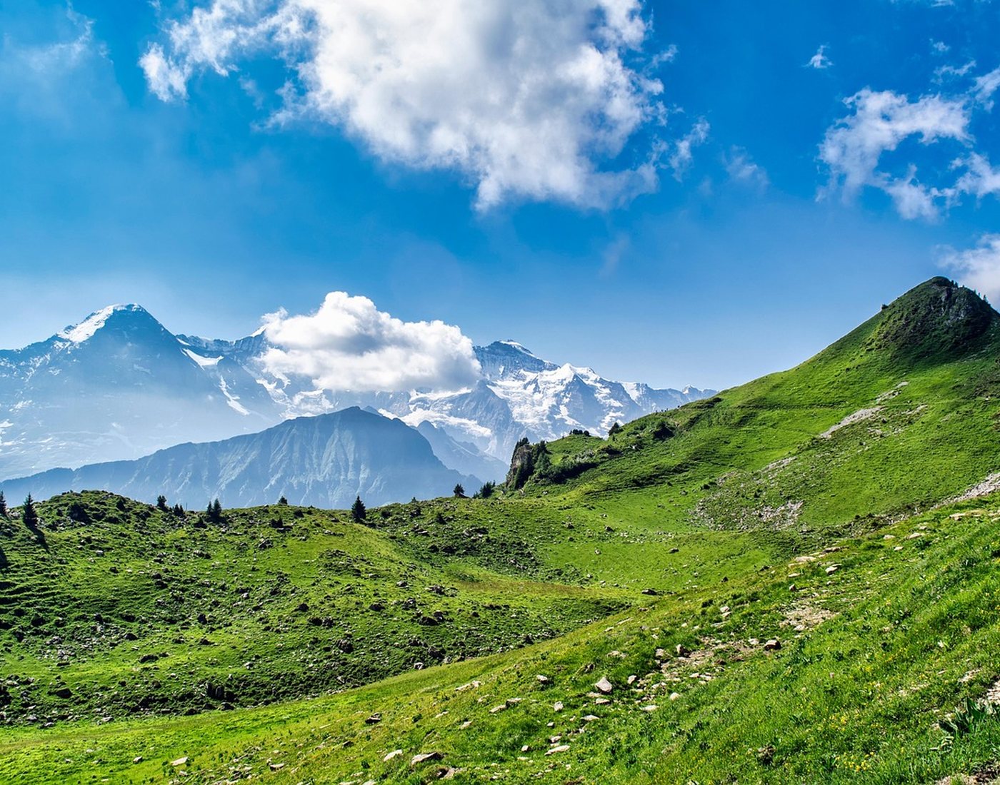 Vallée de montagne dans les Alpes