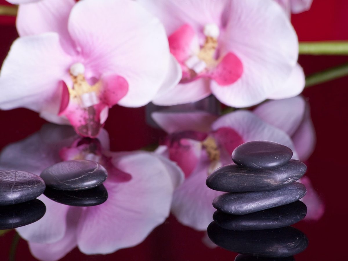 Pierres chaudes et orchidée pour un massage aux pierres